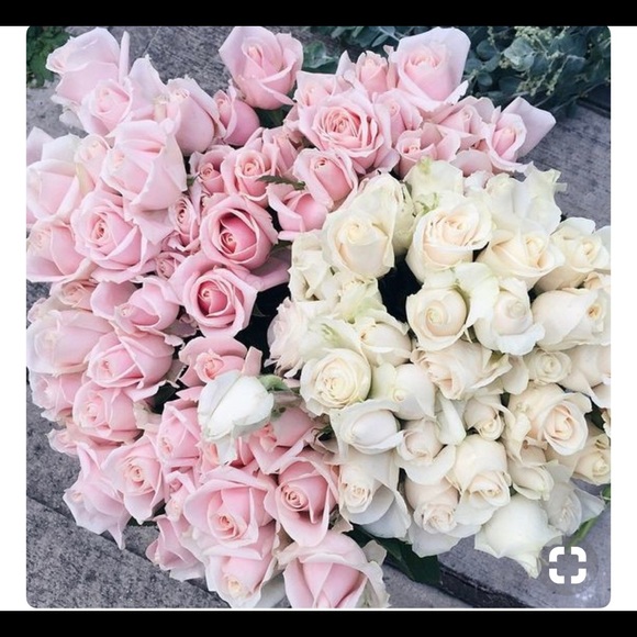 Meet your Posher, Sammy - Picture 6 of 7